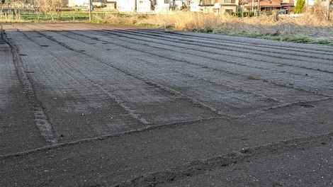 なんでもカフェ