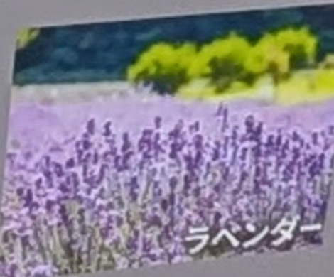 “絆”の案内所