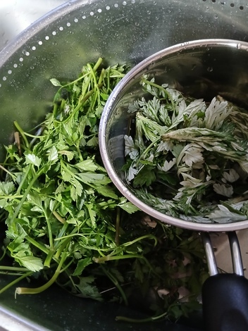 なんでもカフェ