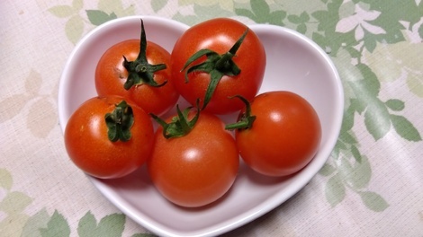 おうち学習の“ワッ!”くらぶ