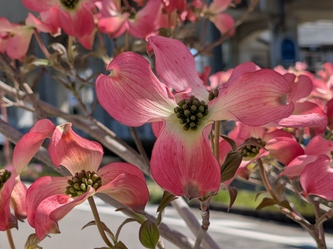 えがおにタッチ コミュニティ