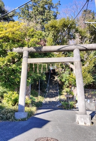 花のある部屋