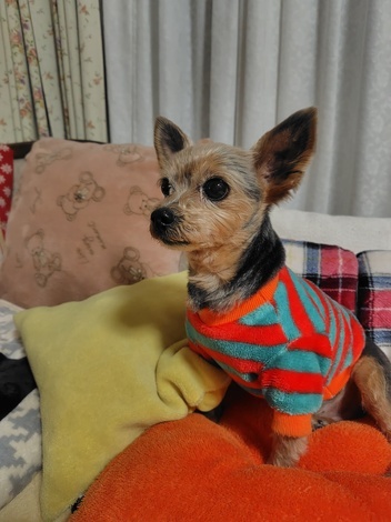 おしゃべりサロン